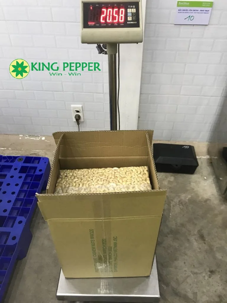 VIETNAM CASHEW NUTS GOOD PRICE -PREMIUM QUALITY KING PEPPER FACTORY | Ms Lynn +84 86 998 1238