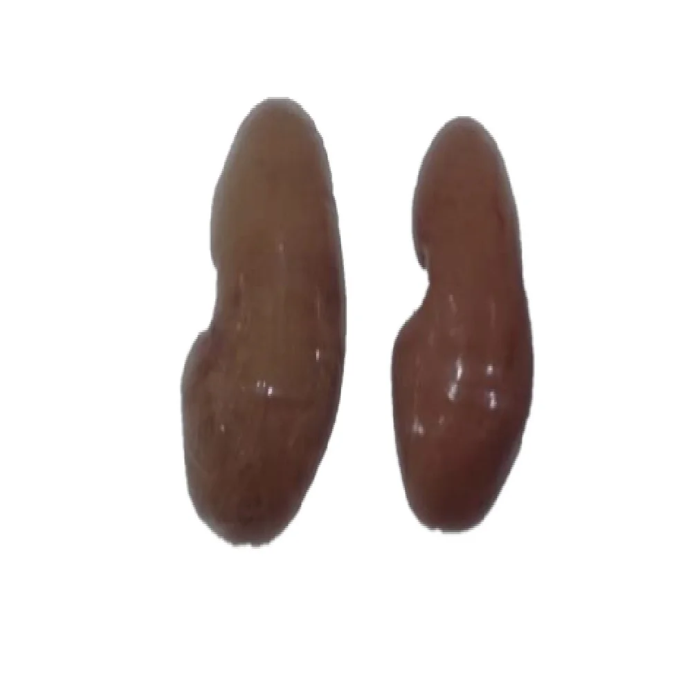 
Best Serving Quality Control Of Chill And Frozen Pork With Best Price Pork Kidney From Thailand 