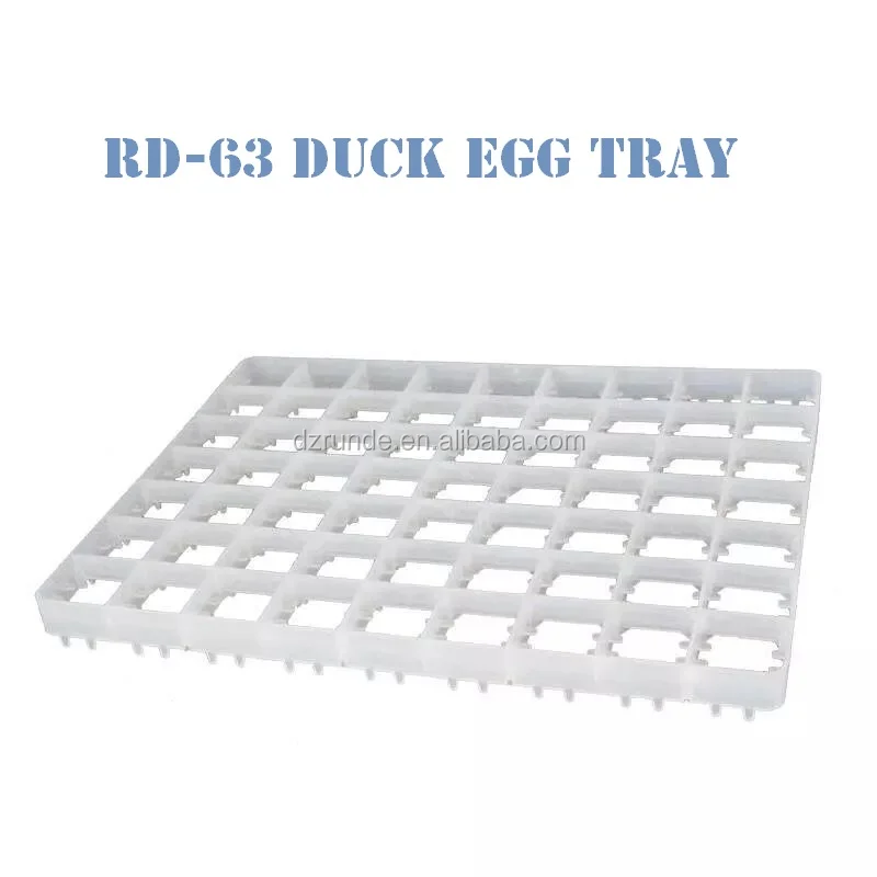 plastic 221 pcs quail egg tray