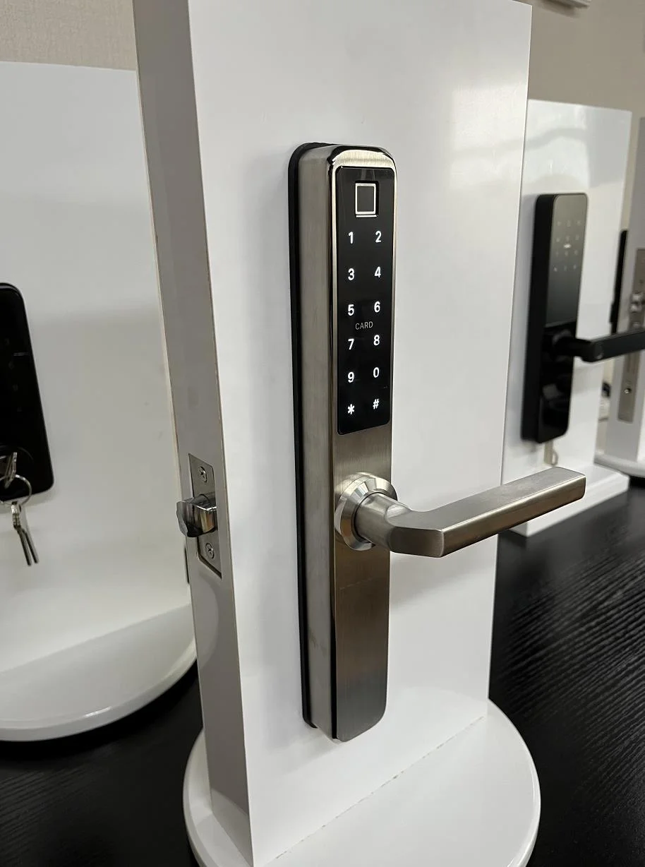S60 нержавеющая сталь открытый водонепроницаемый TTlock цифровой биометрический безопасность двусторонний отпечаток пальца гриль замки умный дверной замок