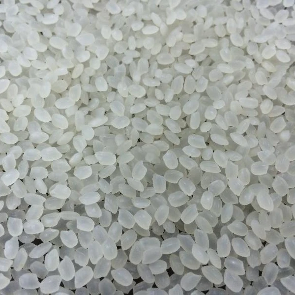 
JAPONICA ROUND GRAIN WHITE RICE 5% BROKEN 