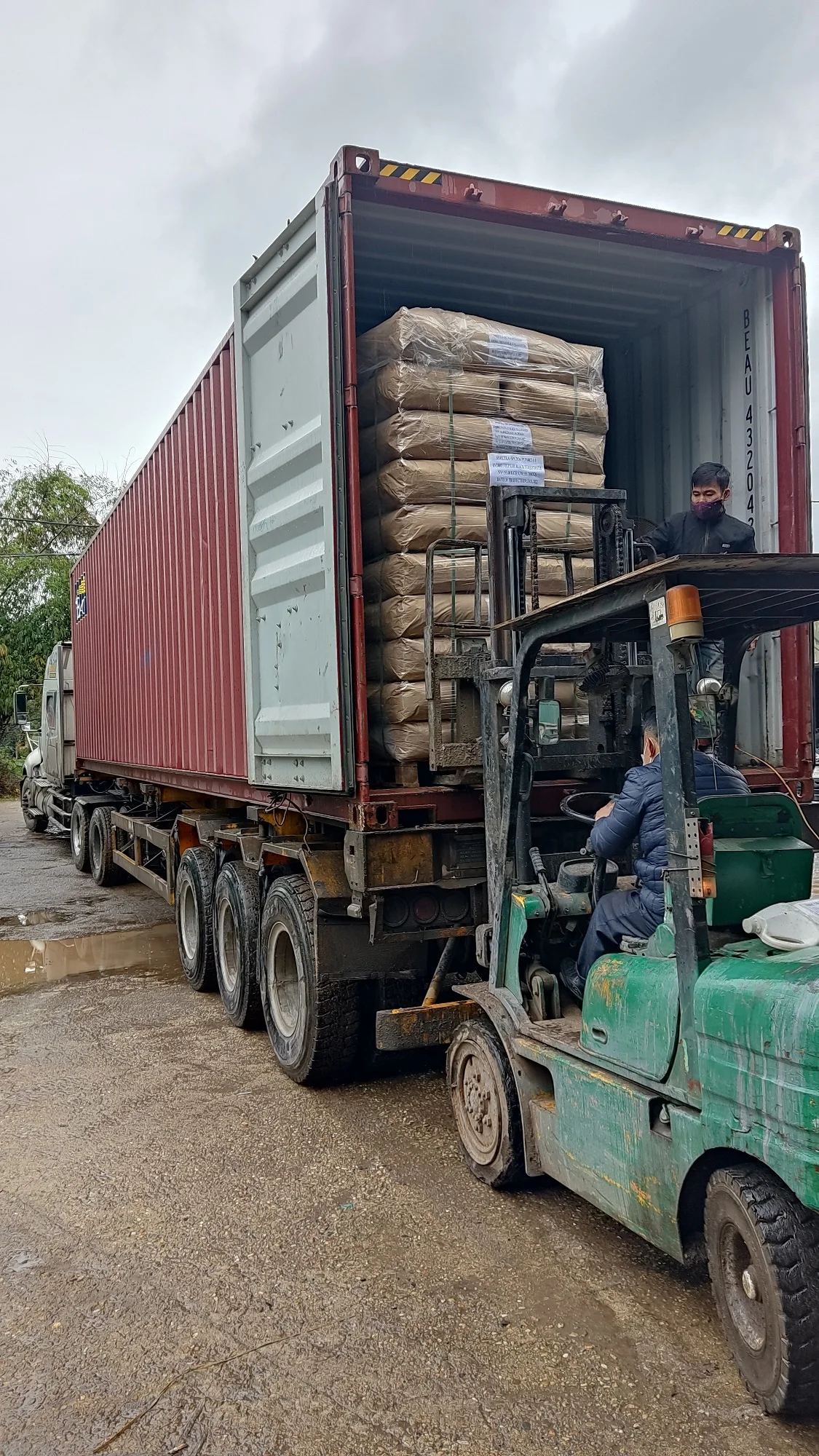 Raw Processing Type Tea Drinks Beverage New Age Vietnam Blended Slimming Organic Healthy 100% Nature Green Tea