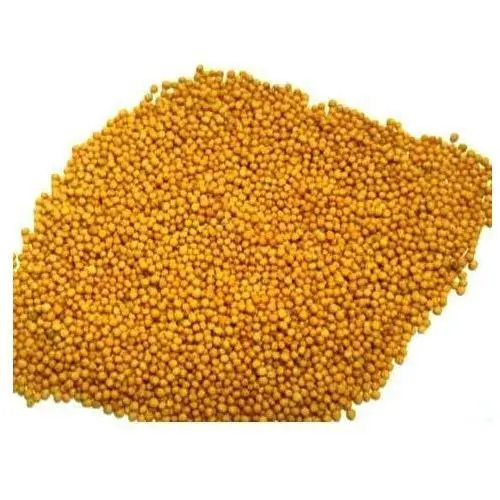 Bulk Supply High Quality Mustard Seed at Lowest Price Seasonings Mustard Seeds Yellow Mustard Seeds Dried Mustard With Low Price