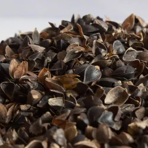 buckwheat shells.jpg