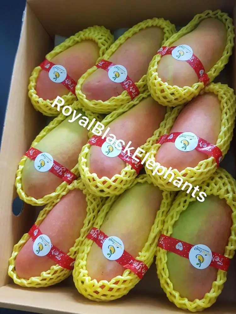 
Premium Mahachanok Mango -Thailand Royal sweet Mango 