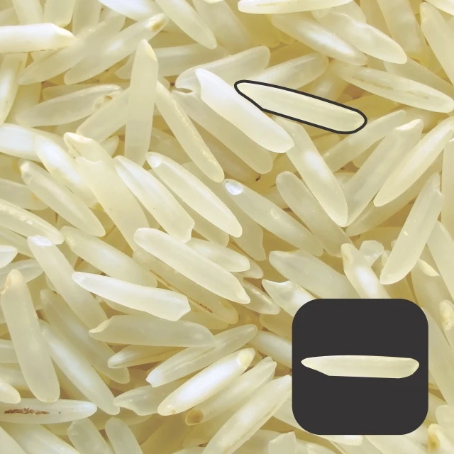 Pusa Steam Rice in 10kg bag