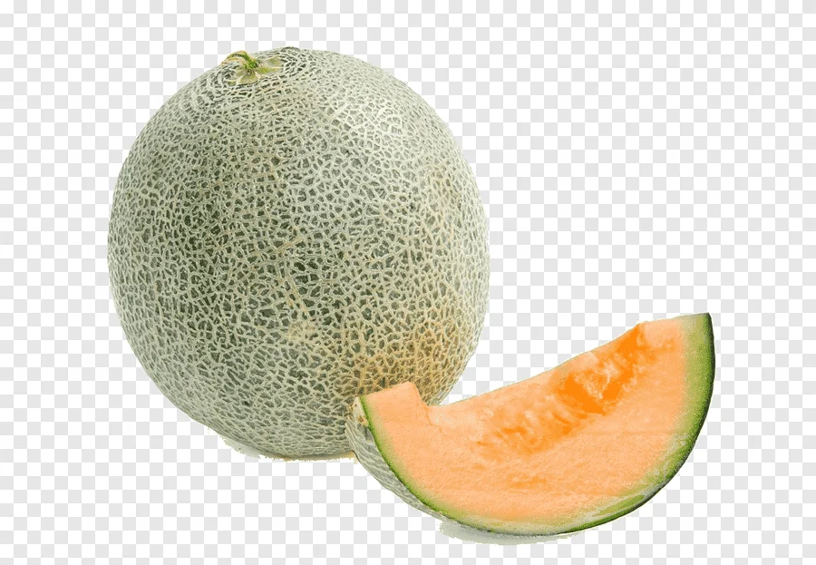 available fresh muskmelon fruits honeydew hami melon
