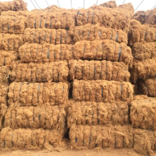 Coconut coir fiber high quality dried _Ms. Azura