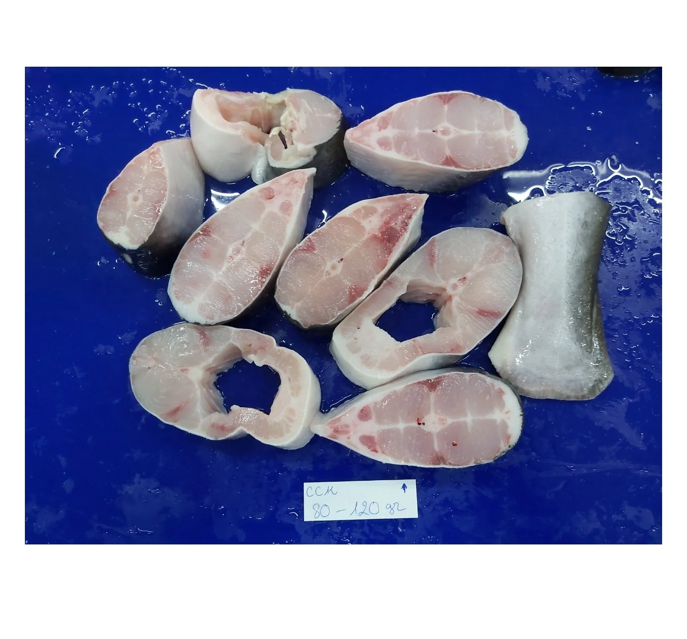 Best Quality Frozen Seafood Pangasius/ Basa Cut Good Price Made From Vietnam