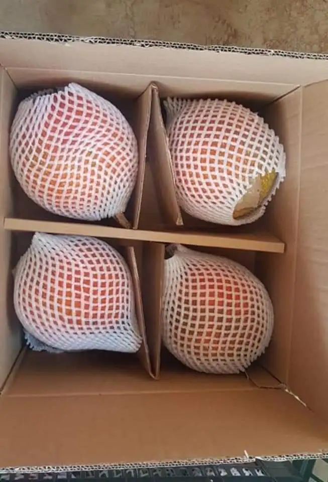 Замороженные фрукты Gac на продажу Contact + 84984418844