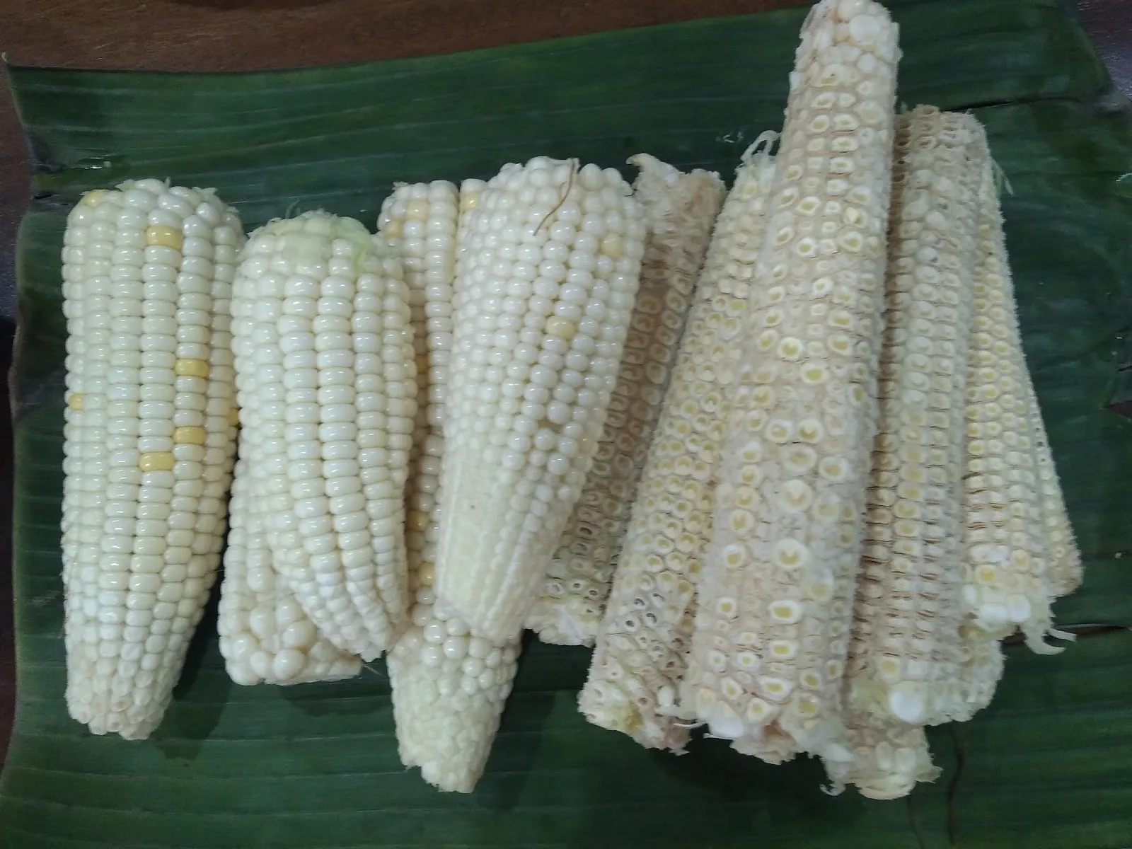 Good quality corn cob Dried Corn Cob Meal For Poultry Farming feed cob/Hana +84 901 006 904