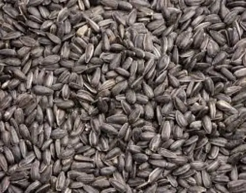 SUNFLOWER SEEDS