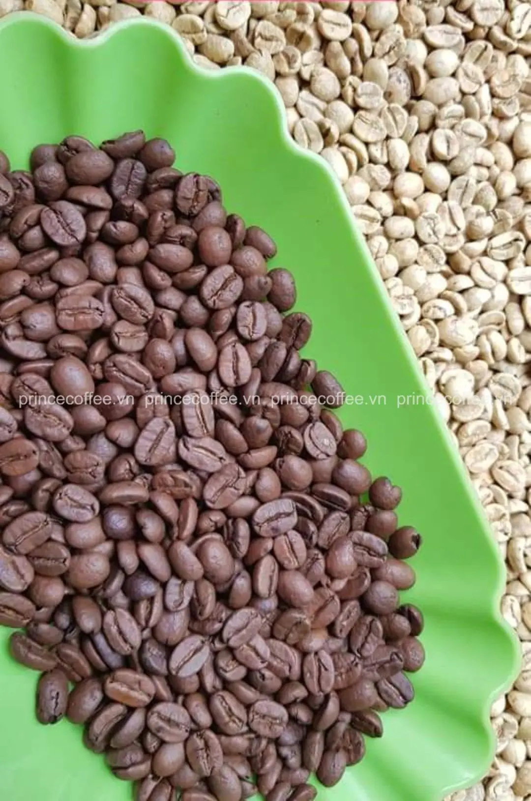  Новый продукт кофейные жареные зерна Arabica 18 scr из Вьетнама