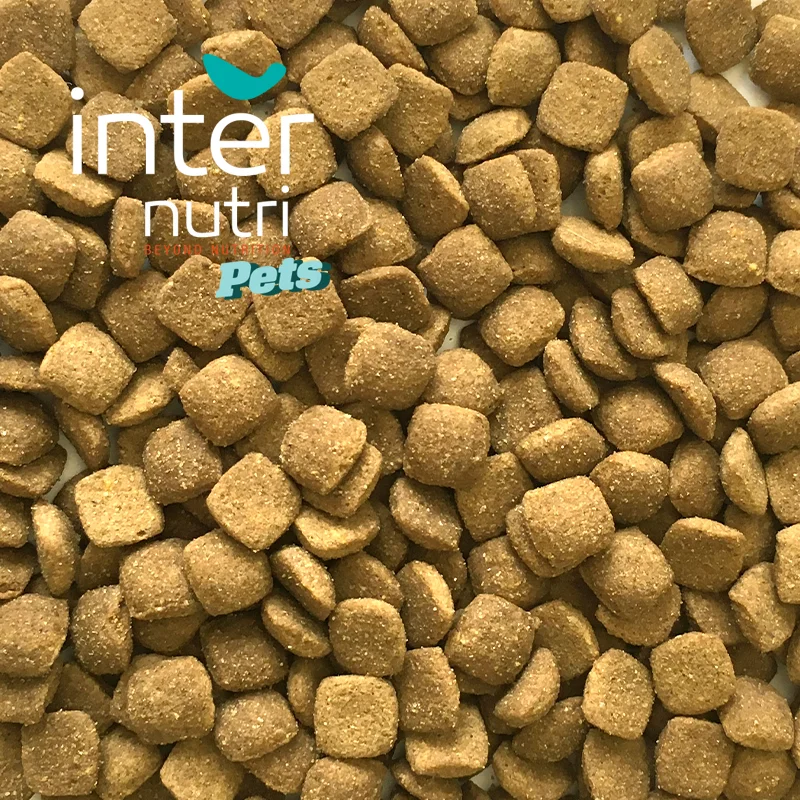 
Dry food for active adult dogs | INTERNUTRI ACTIVE 20kg 