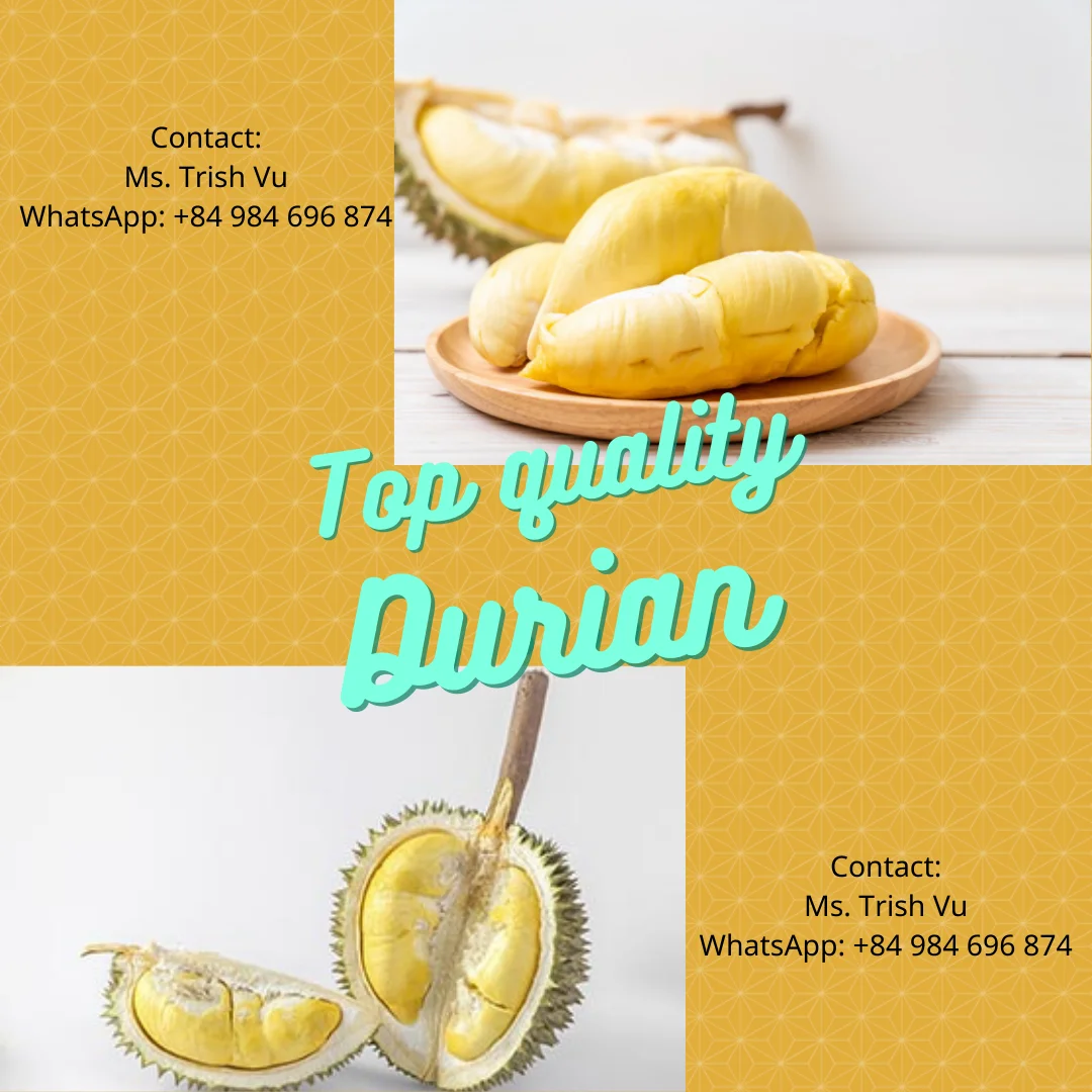 Вьетнам оптовая продажа высокое качество MONTHONG DURIAN/мисс Триш + 84 984 696 874