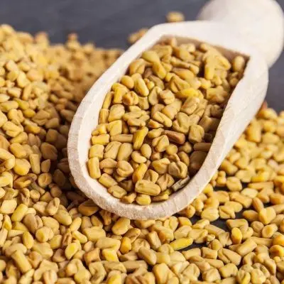
High Quality Fenugreek Powder 