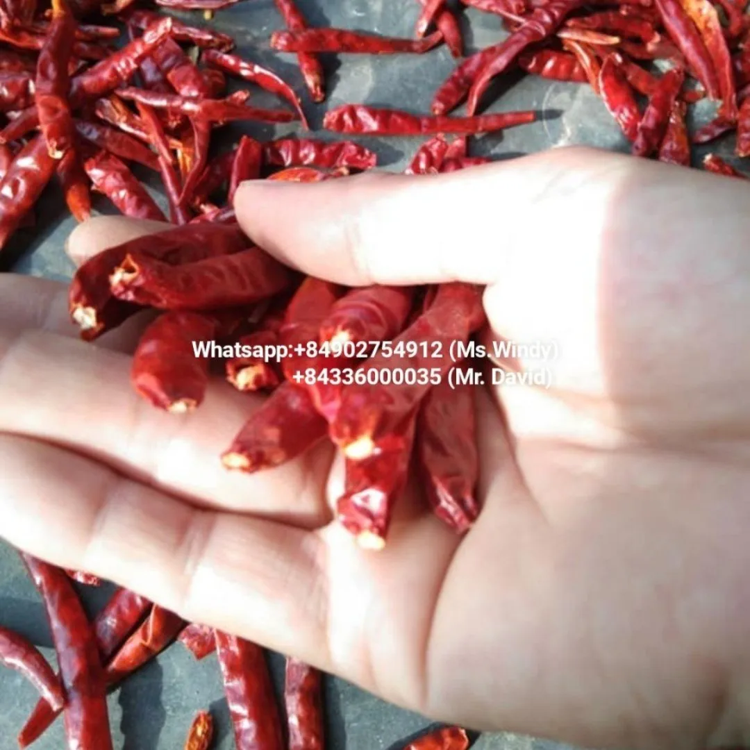 Высокостандартный экспорт вьетнамский сушеный Чили высококачественный натуральный красный перец чили по тонной цене