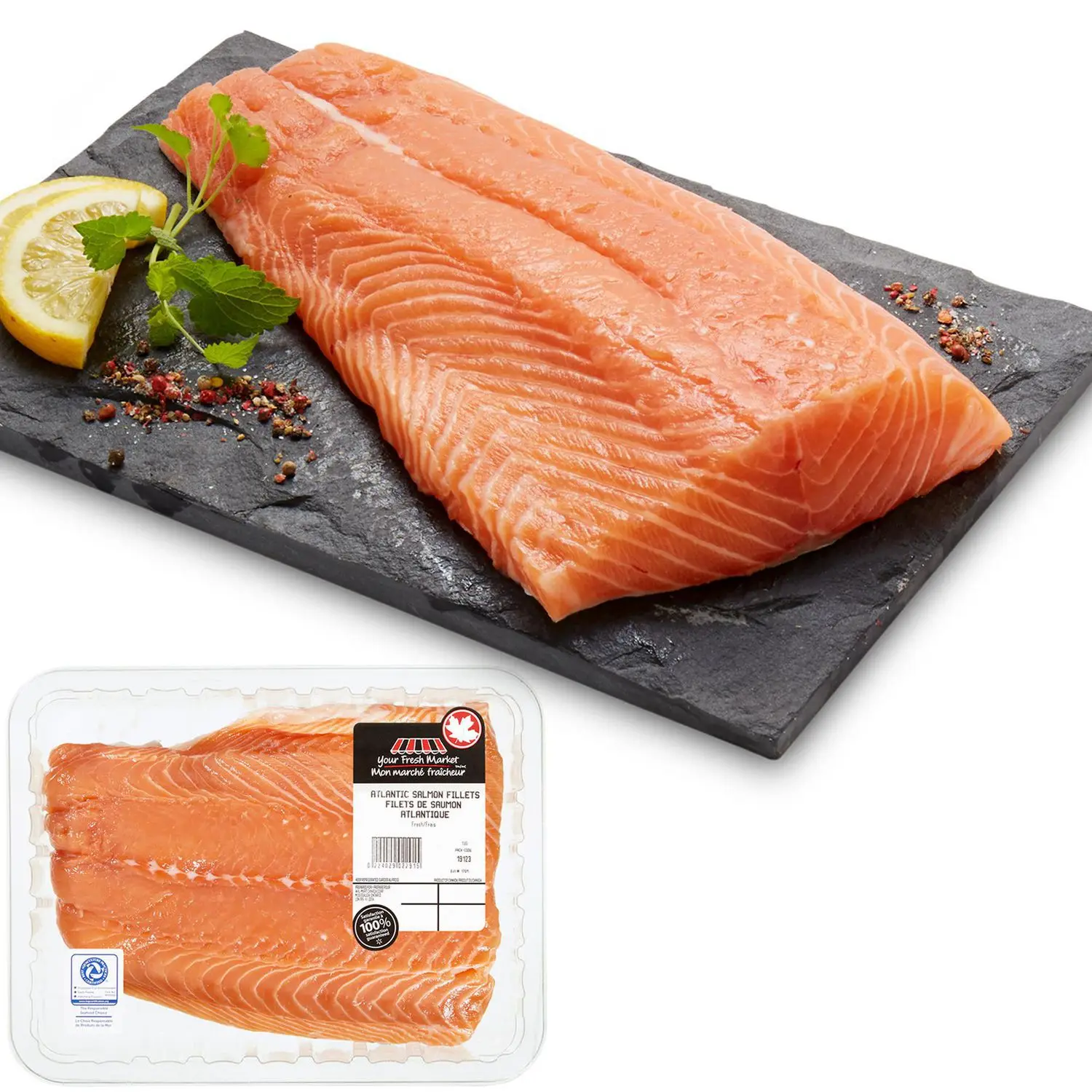 
Good Quality Frozen Salmon For Best Priced 