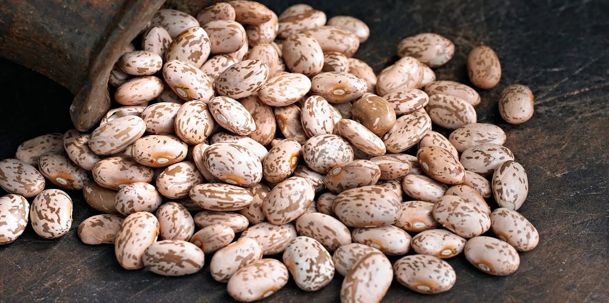 Delicious Pinto Beans for sale