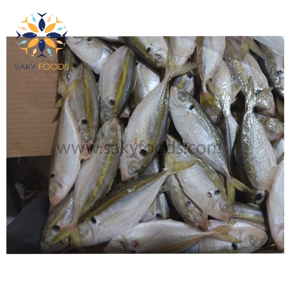 Wholesale Frozen Yellow Stripe trevally fish with sale good price