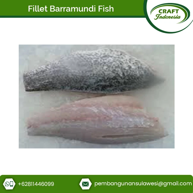 Wholesale Supply Great Taste Seafood Barramundi Fish Frozen Fillet