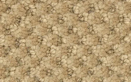 
Wholesale Modern Legacy Wall to Wall Carpet With 100% Nylon Material Ideal for Commercial and Hospitality Use 