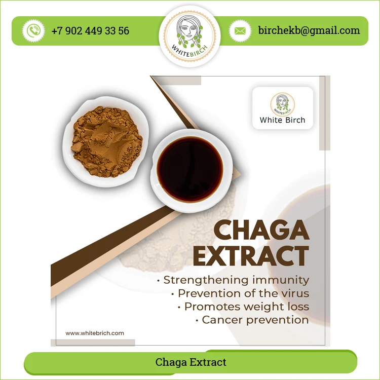 Multiple Health Benefits Natural Chaga Mushrooms Extract Powder for Sale