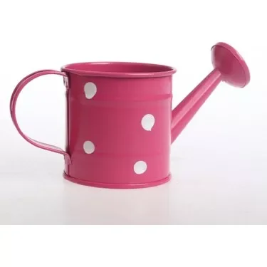 Кастрюля для полива цветов оцинкованная современный дизайн логотип под заказ