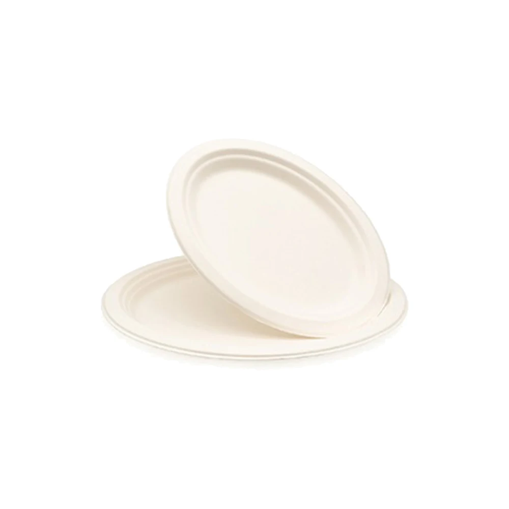 
2021 Paper Plates 100% White Nature Compostable Round Biodegradable Sugarcane Bagasse Disposable Plates 