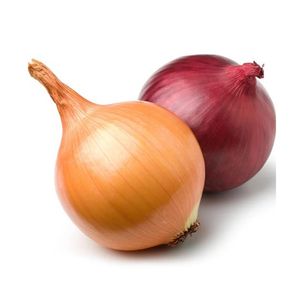Top Quality fresh organic onions whloesalers Fresh Red Onion