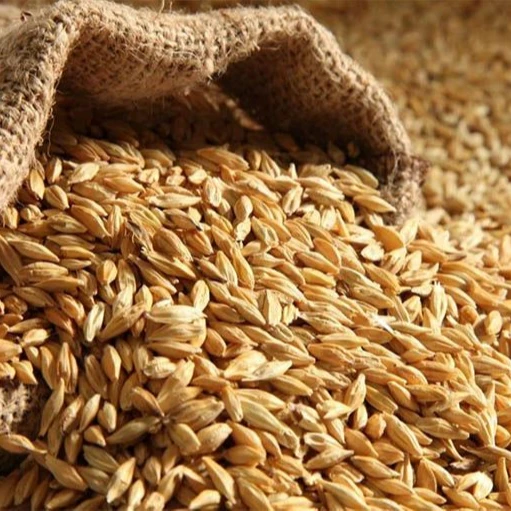 Качественные пшеничные отрубы для корма животных