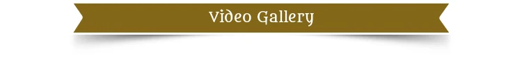 Video-Gallery-t.jpg