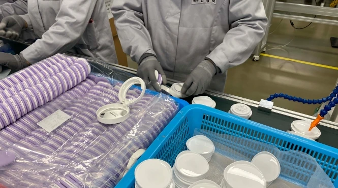 BIGPIE C&T process2.jpg