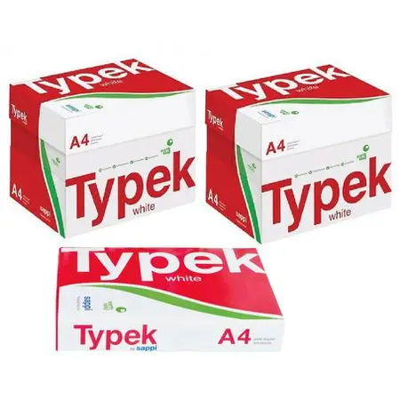 Typek paper.jpg