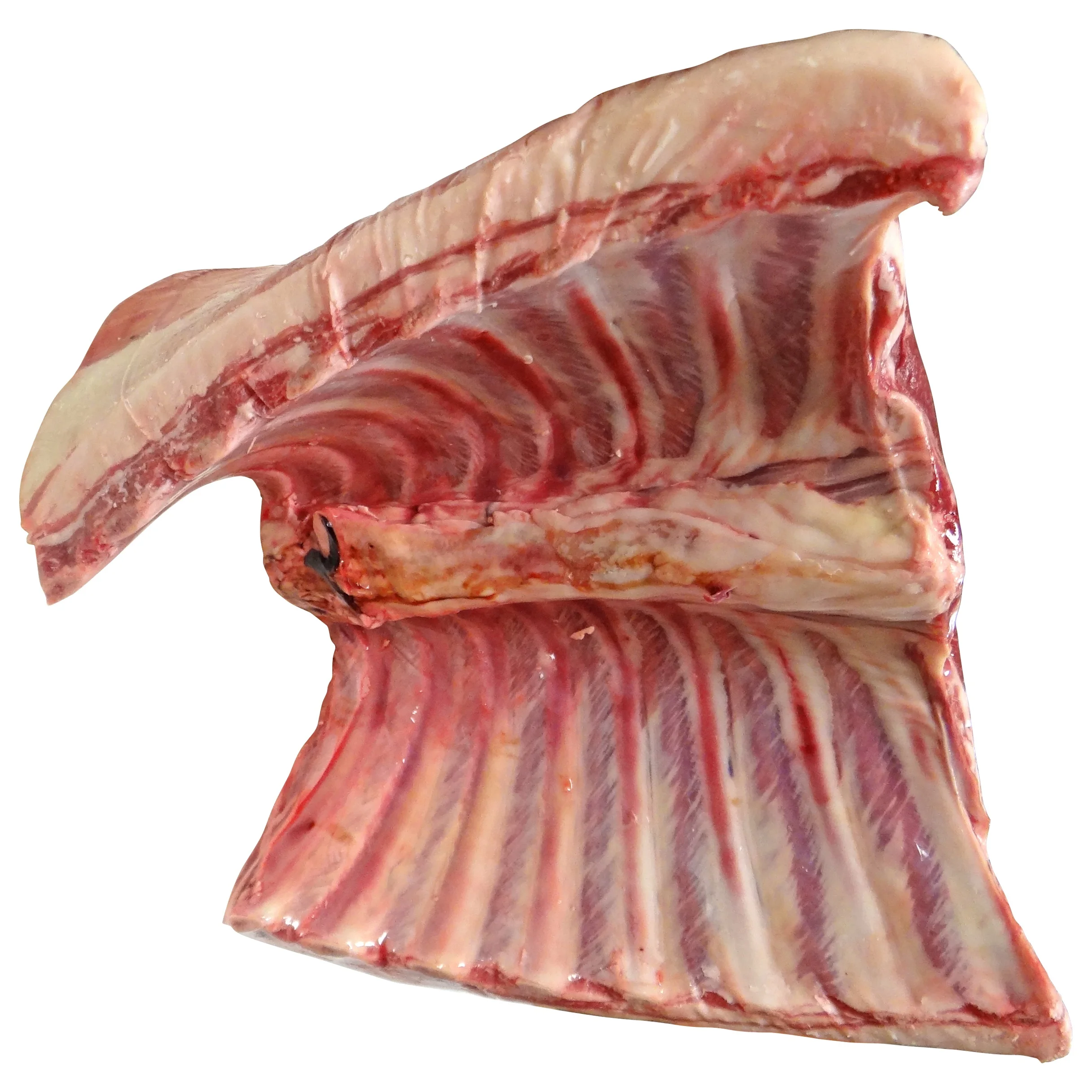 
High Quality Natural Organic Frozen Lamb Meat 