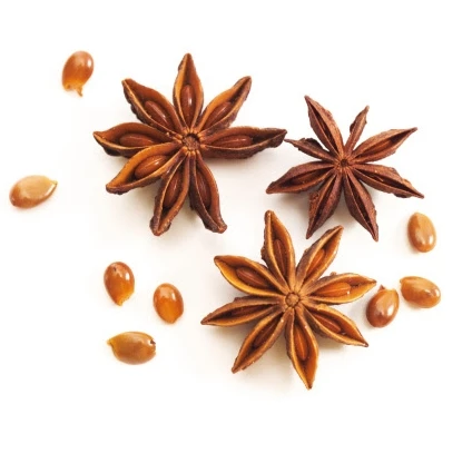 Wholesale High Quality Star Anise  -  Certified 100% Organic - Spices & Herbs Products 100% Natural Dried