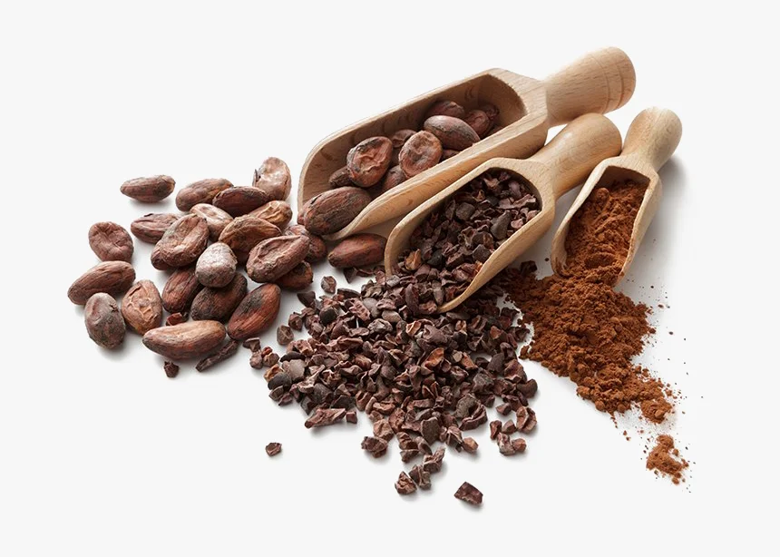 Dried Raw Cocoa Beans Weight Origin Type Variety Cacao Size Grade Place Model Maturity Criollo