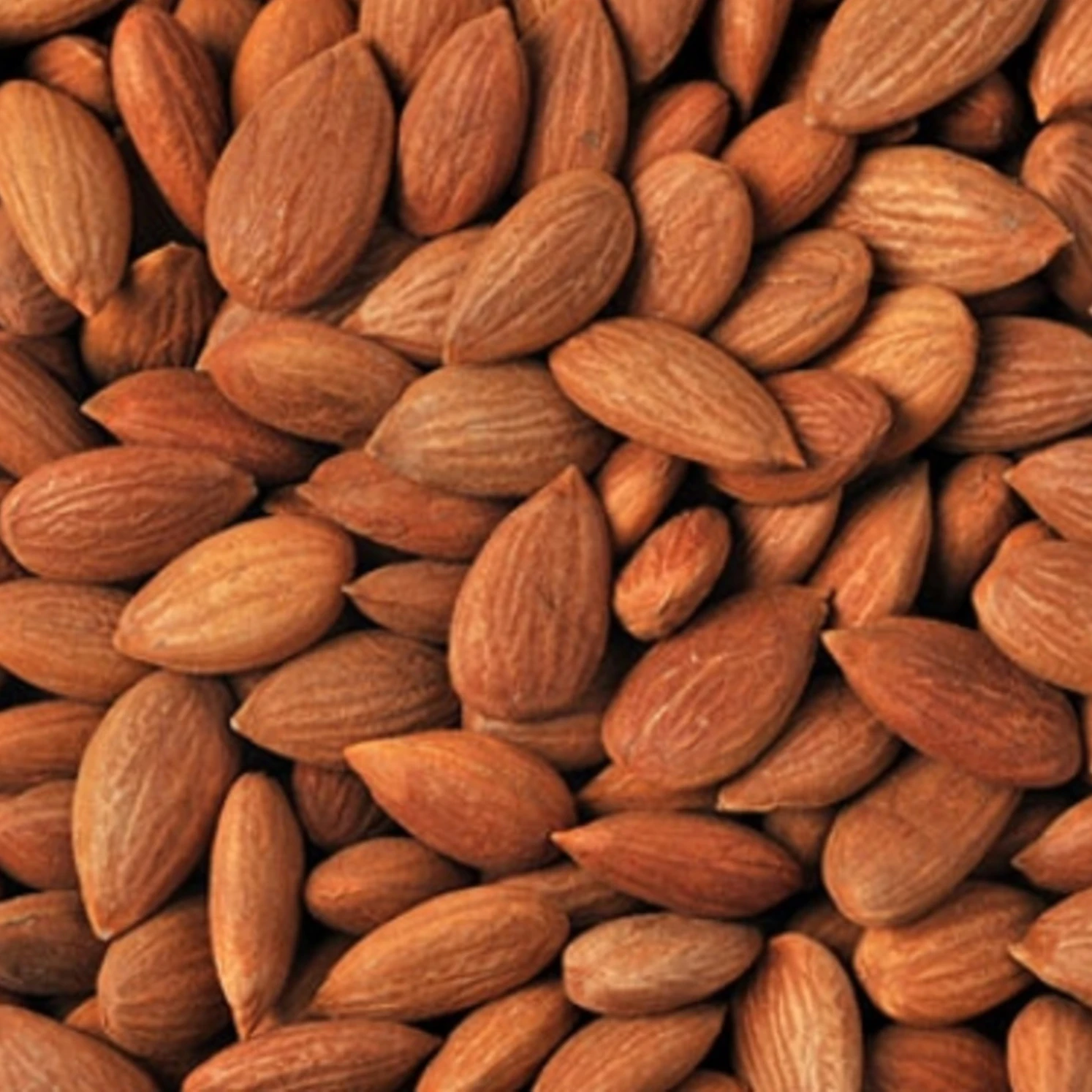 Сырые сушеные зерна Горького абрикоса для продажи