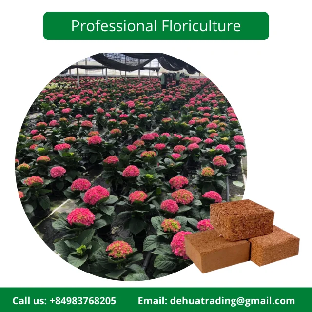 Famous Brand Bentre Coconut Coir in Vietnam Coco Peat Brick 5KG Customizable with Affordable Price