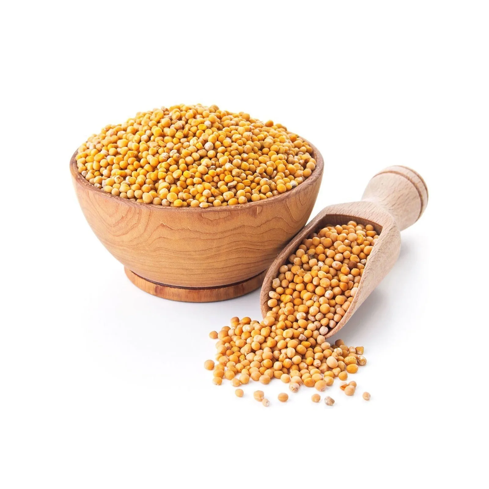 
Russian Wholesale Organic Bulk Yellow Mustard Seeds 