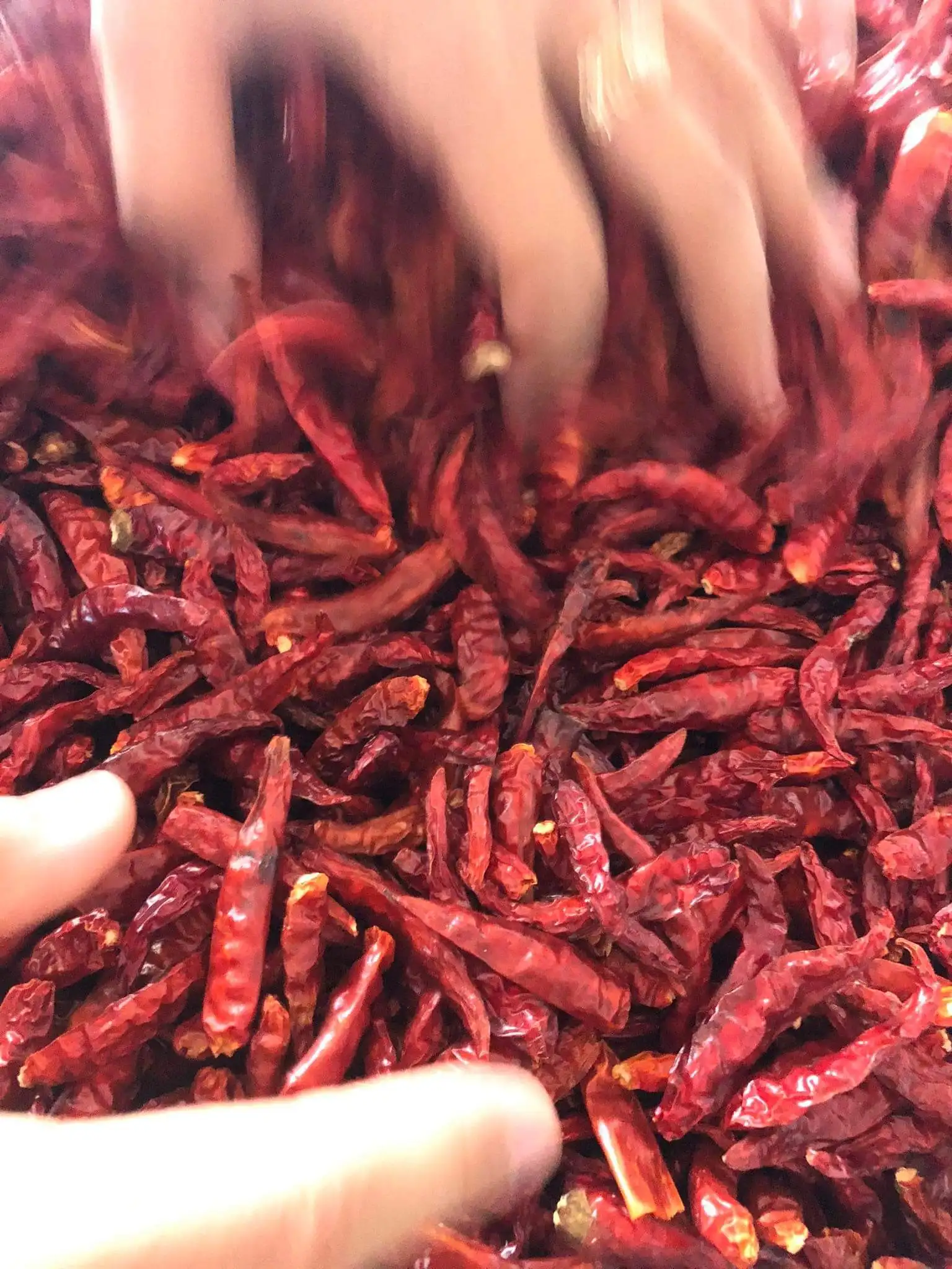 Сушеный красный чили/красный перец из Gimex Vietnam