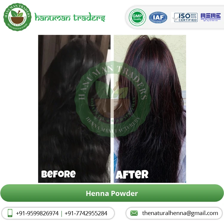 Top Notch Quality Widely Selling Henna Hair Nourishment Powder henna powder for natural hair Buy at Bulk Price