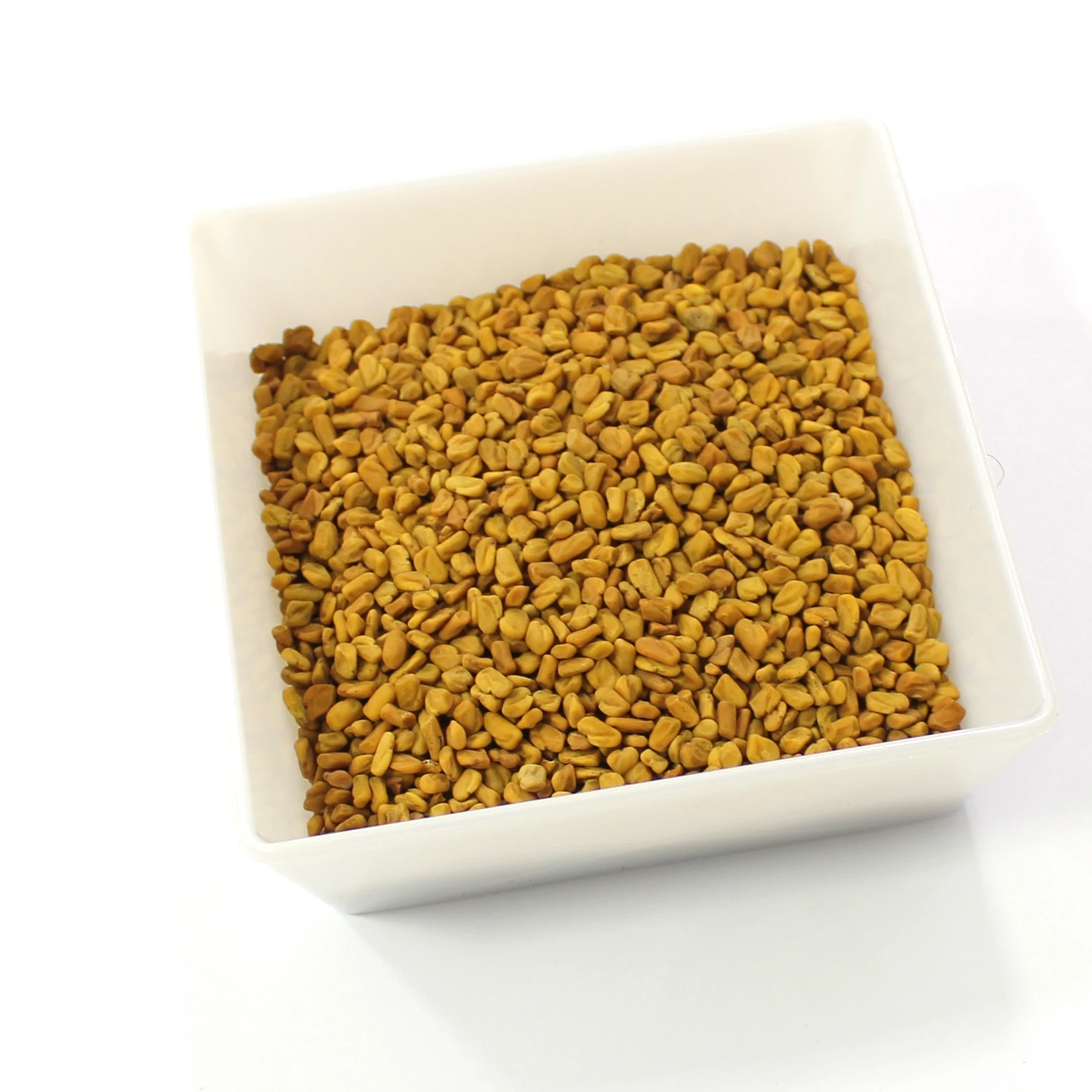 
High Quality Fenugreek seeds new crop 