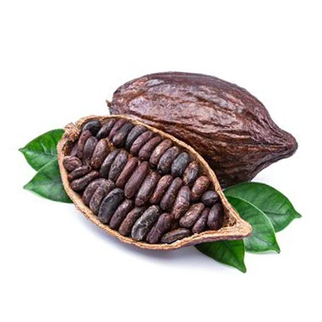  Какао-бобы готовые к экспорту высококачественные какао-бобы для гурманов от вьетнамской программы какао-трассы