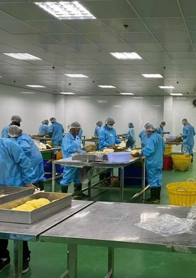 Vietnam Frozen IQF Durian for US, EU, ASIA Market - BEST SELLER