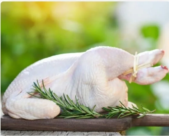 
Export/Delivery of frozen halal whole chicken and cuts from Brazil Top Quality 