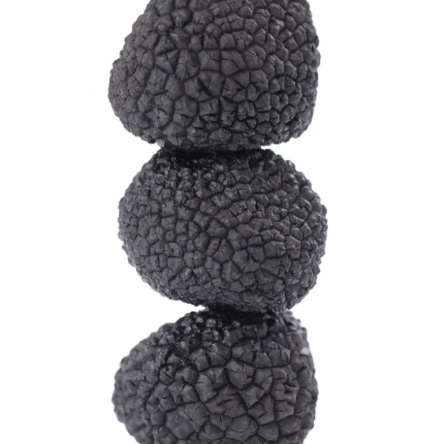  Экспорт в Италию трюфель свежие черные Замороженные Дикие грибы трюфели рыночная цена для грибов дикий клубень индийский свежий черный