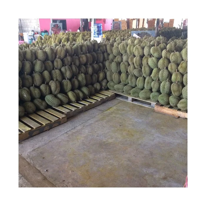 Fresh Musang King