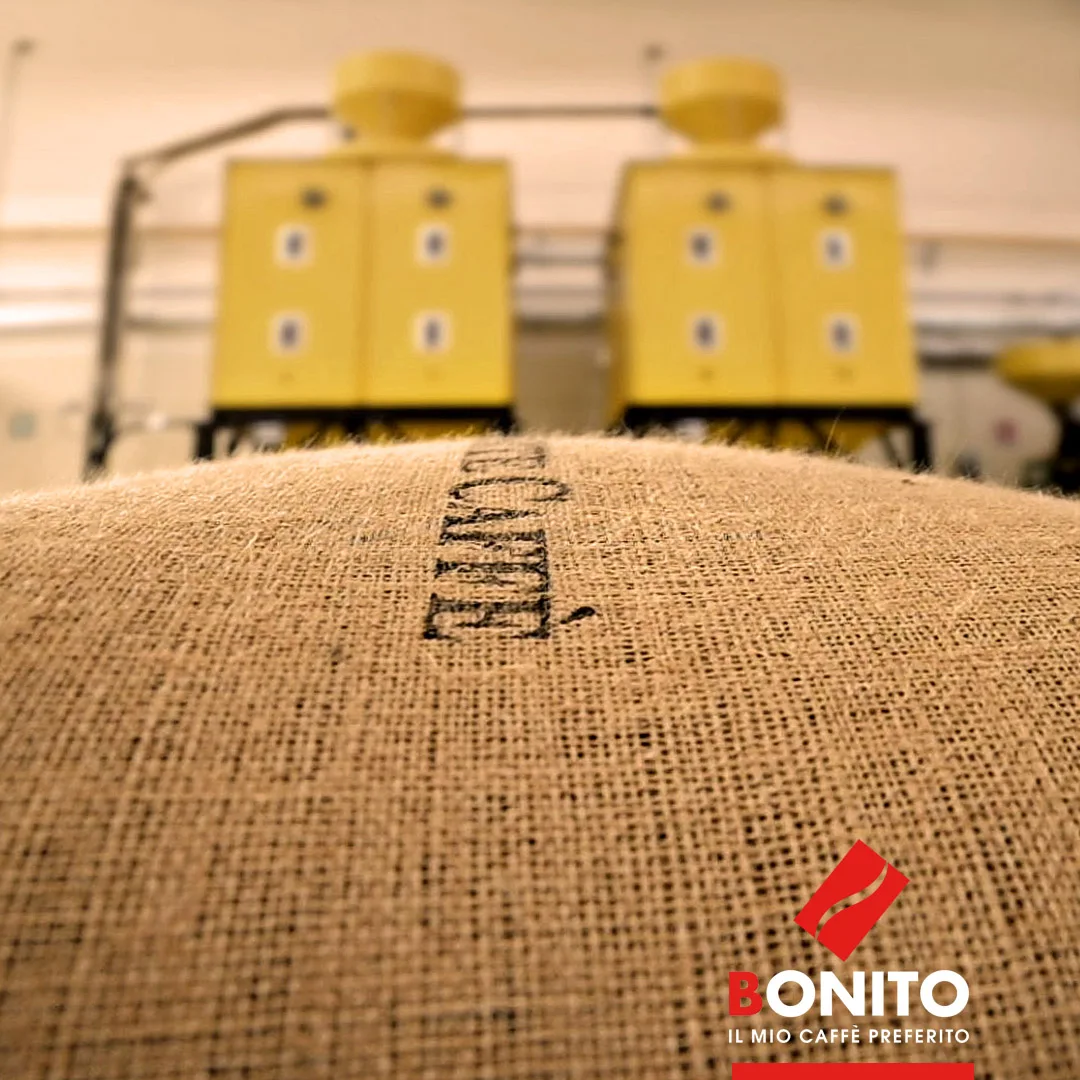 Made in Italy 150 compostable coffee pods Caffe Bonito ESE 44 mm 40% Arabica and 60% Robusta coffee