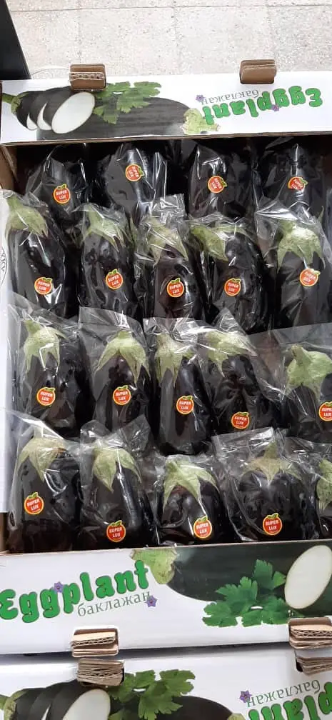 Fresh  eggplant